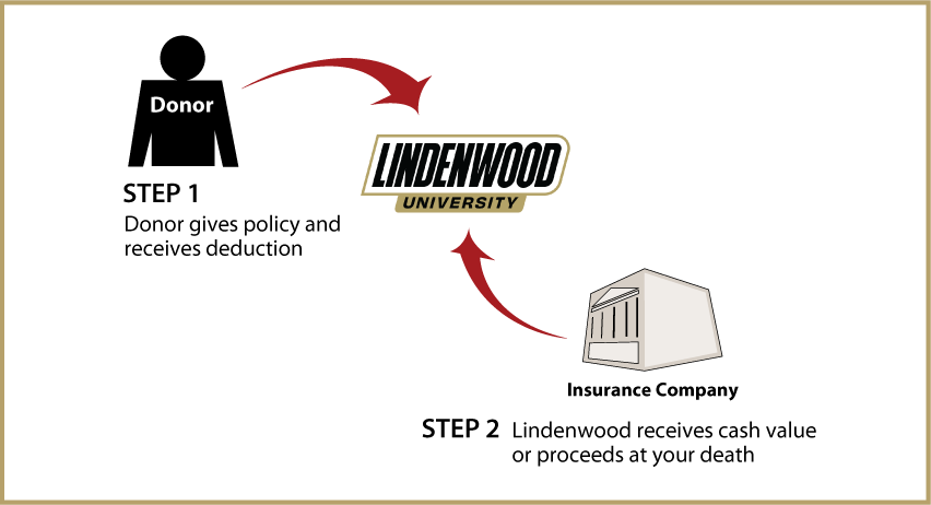 Life Insurance Policy Thumbnail